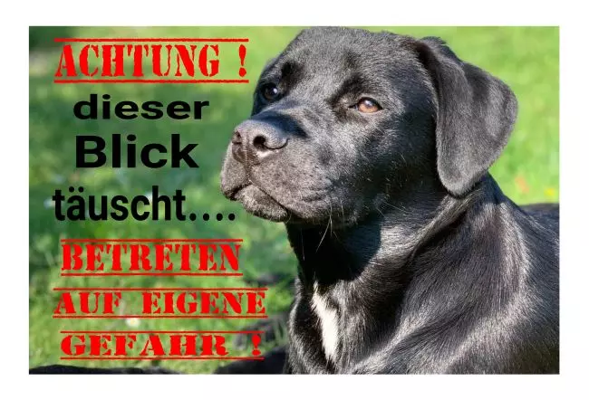 Warnschild Zutritt verboten Warnung - Zutritt verboten Achtung Hund Bild