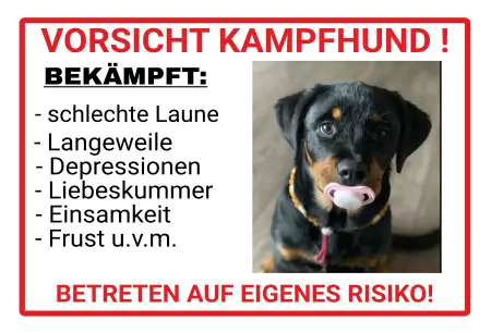 Warnschild Zutritt verboten Warnung - Zutritt verboten VORSICHT KAMPFHUND Bild