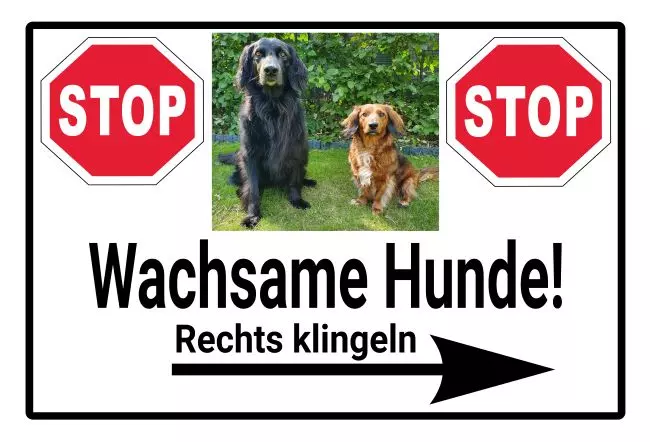 Warnschild Zutritt verboten Warnung - Zutritt verboten Wachsame Hunde Bild